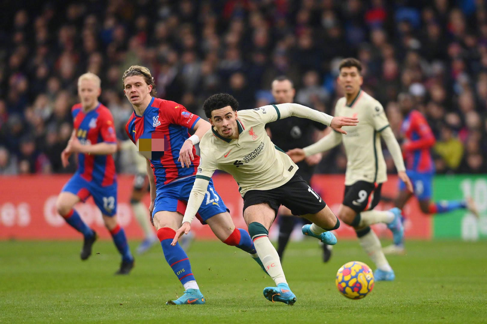 球梦得以延 球梦得以延