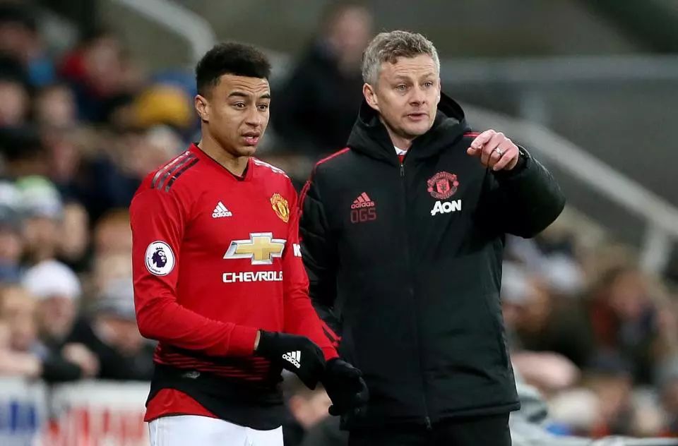 也提升了网 也提升了网